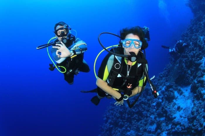 Nitrox Diving Course Online