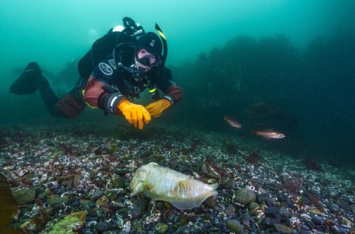 Certification for scuba diving with padi online nitrox course .