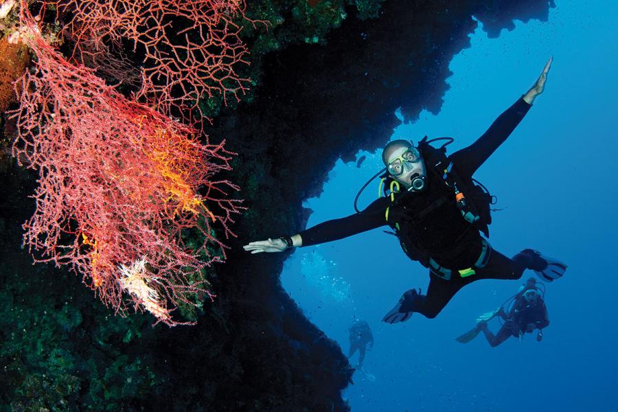 Padi nitrox course online