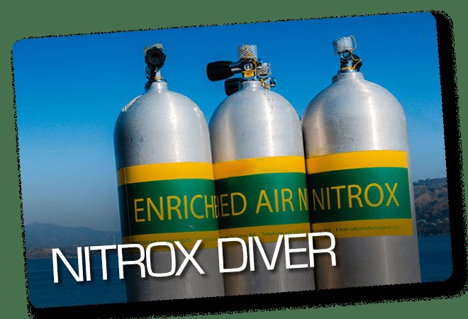 Instant nitrox certification free.