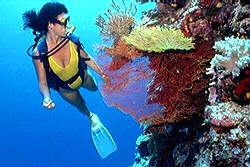 PADI Nitrox scuba course.